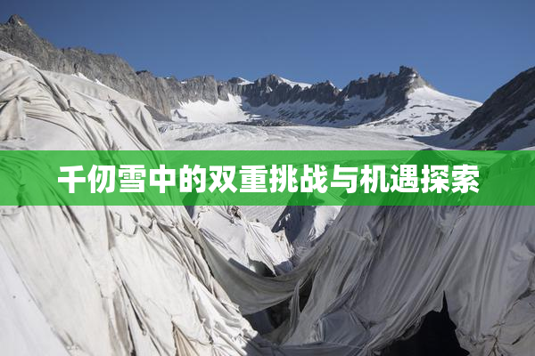 千仞雪中的双重挑战与机遇探索
