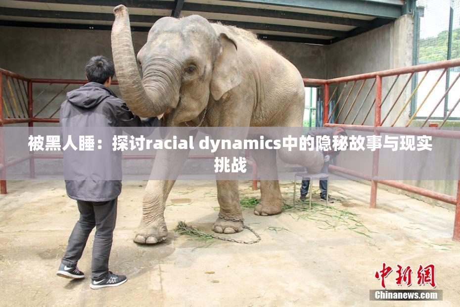 被黑人睡：探讨racial dynamics中的隐秘故事与现实挑战