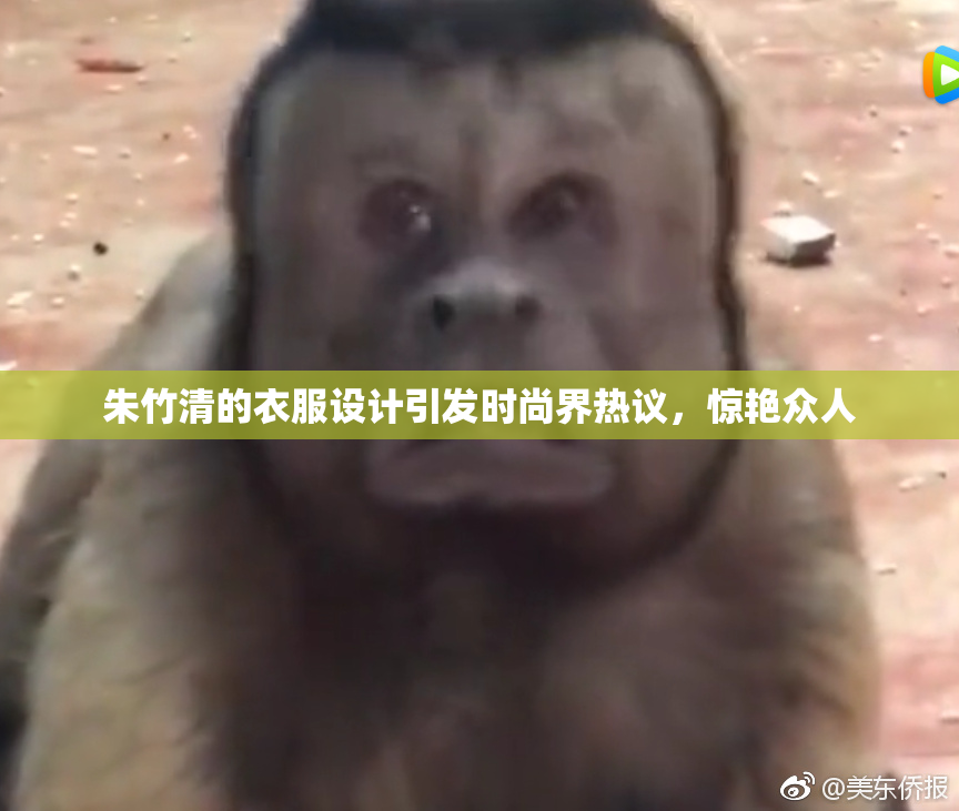 朱竹清的衣服设计引发时尚界热议，惊艳众人