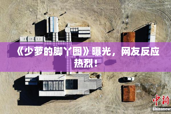 《少萝的脚丫图》曝光，网友反应热烈！