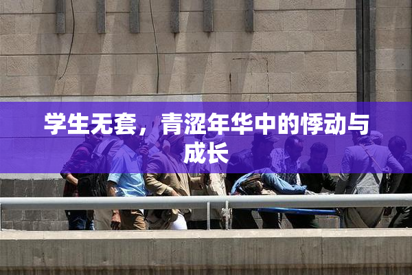 学生无套，青涩年华中的悸动与成长