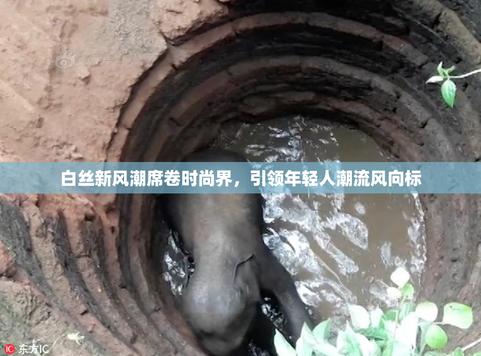 白丝新风潮席卷时尚界，引领年轻人潮流风向标
