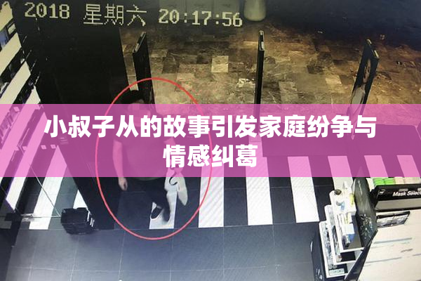 小叔子从的故事引发家庭纷争与情感纠葛