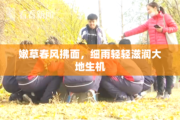 嫩草春风拂面，细雨轻轻滋润大地生机