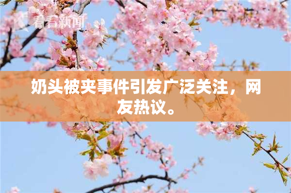 奶头被夹事件引发广泛关注，网友热议。