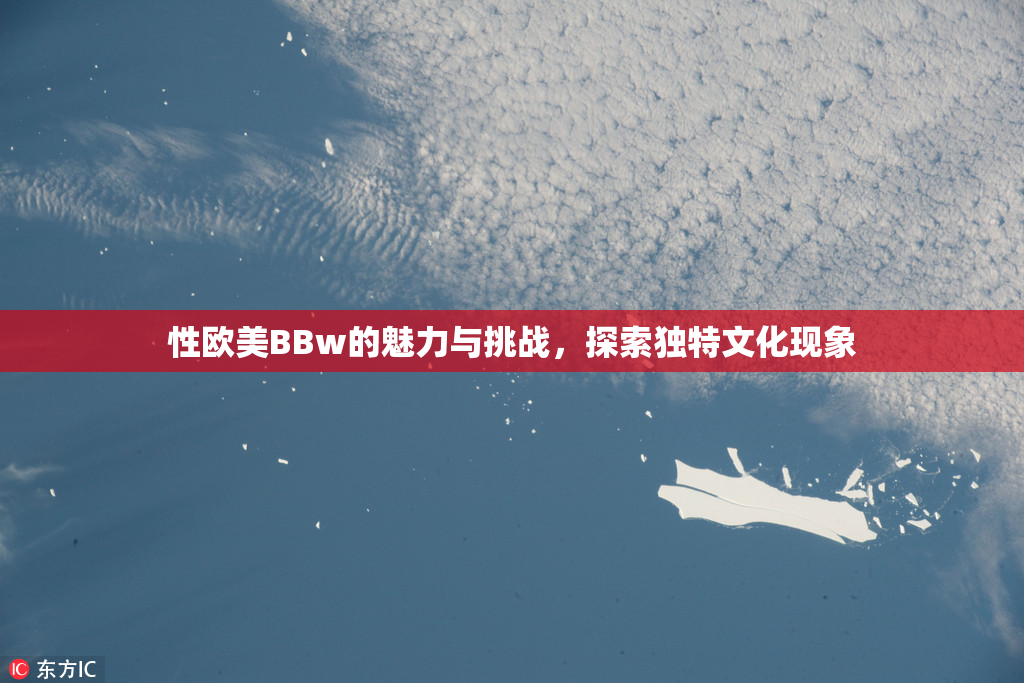 性欧美BBw的魅力与挑战，探索独特文化现象