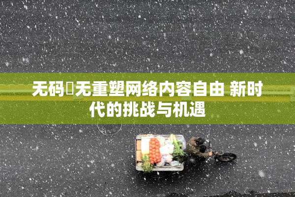 无码囯无重塑网络内容自由 新时代的挑战与机遇