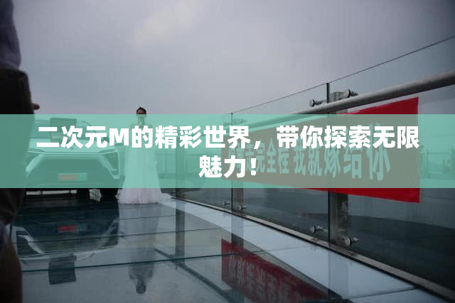 二次元M的精彩世界，带你探索无限魅力！