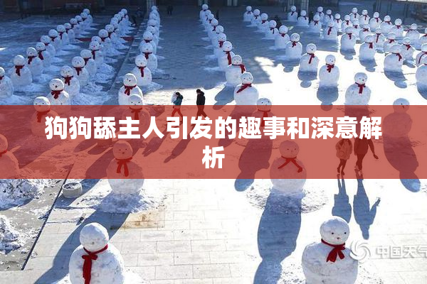 狗狗舔主人引发的趣事和深意解析