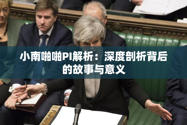小南啪啪PI解析：深度剖析背后的故事与意义