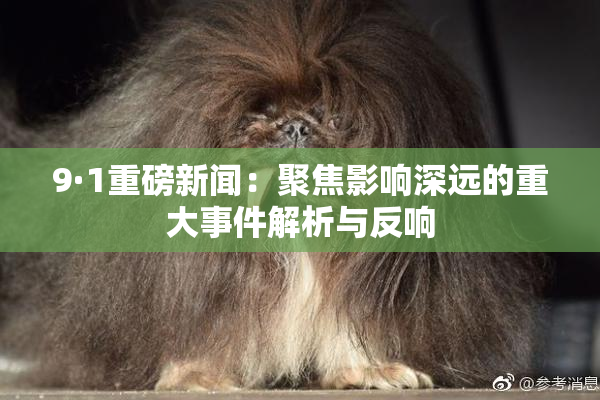 9·1重磅新闻：聚焦影响深远的重大事件解析与反响