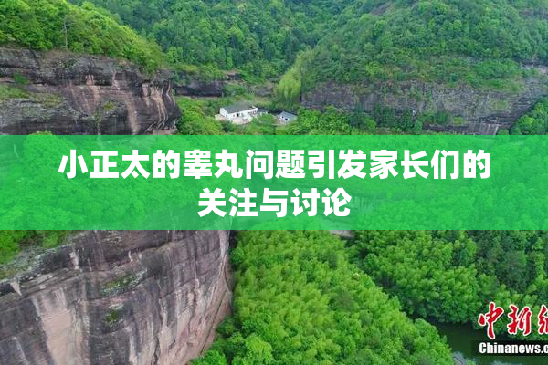 小正太的睾丸问题引发家长们的关注与讨论