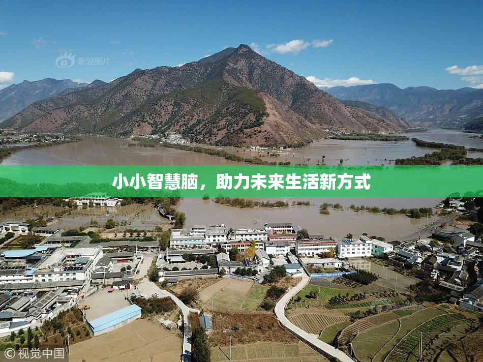 小小智慧脑，助力未来生活新方式