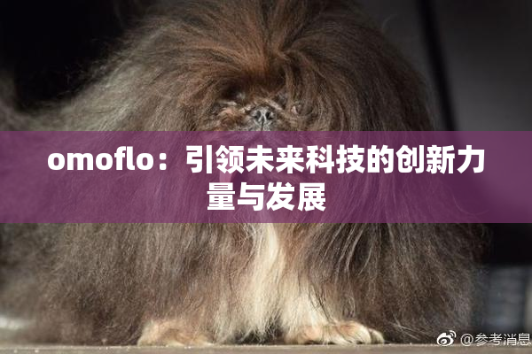 omoflo：引领未来科技的创新力量与发展