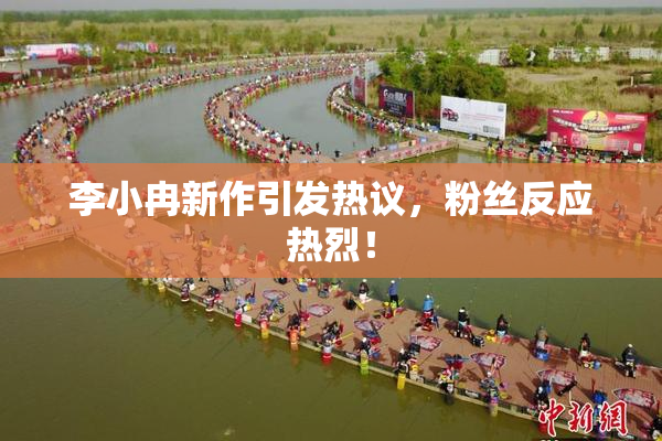 李小冉新作引发热议，粉丝反应热烈！