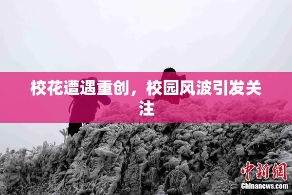 校花遭遇重创，校园风波引发关注
