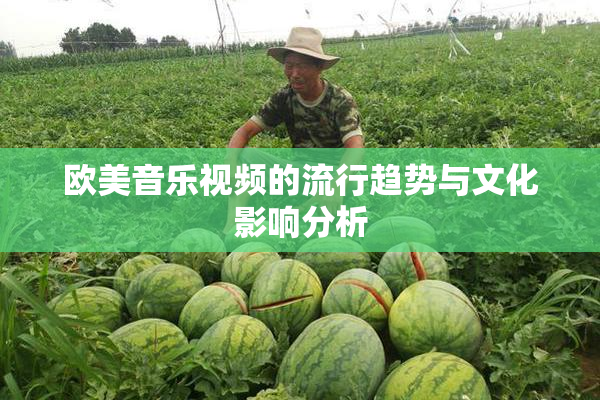 欧美音乐视频的流行趋势与文化影响分析