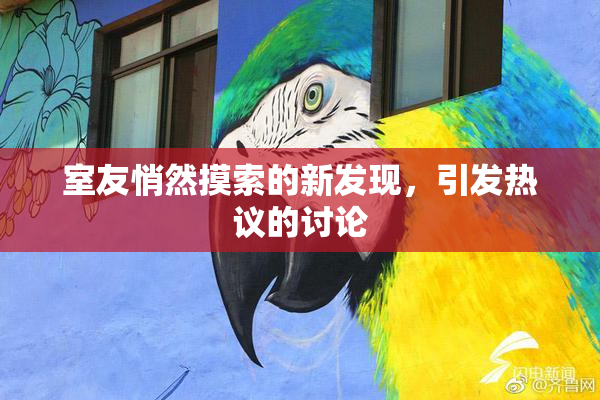 室友悄然摸索的新发现，引发热议的讨论