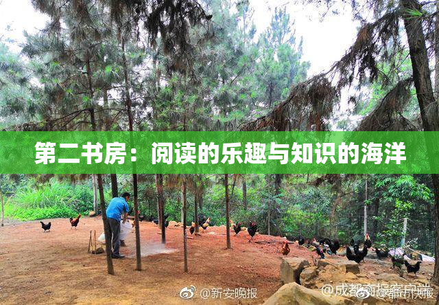 第二书房：阅读的乐趣与知识的海洋