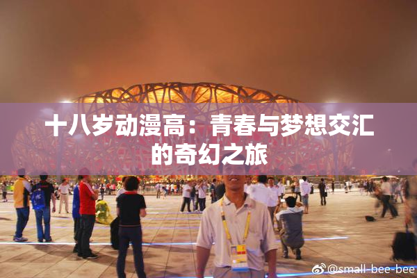 十八岁动漫高：青春与梦想交汇的奇幻之旅