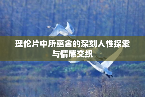 理伦片中所蕴含的深刻人性探索与情感交织