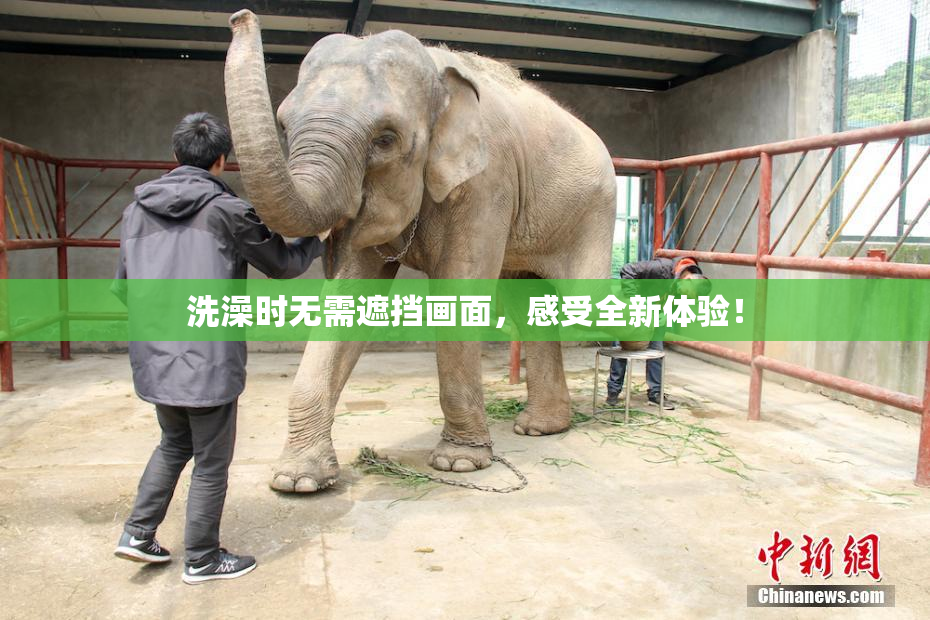 洗澡时无需遮挡画面，感受全新体验！