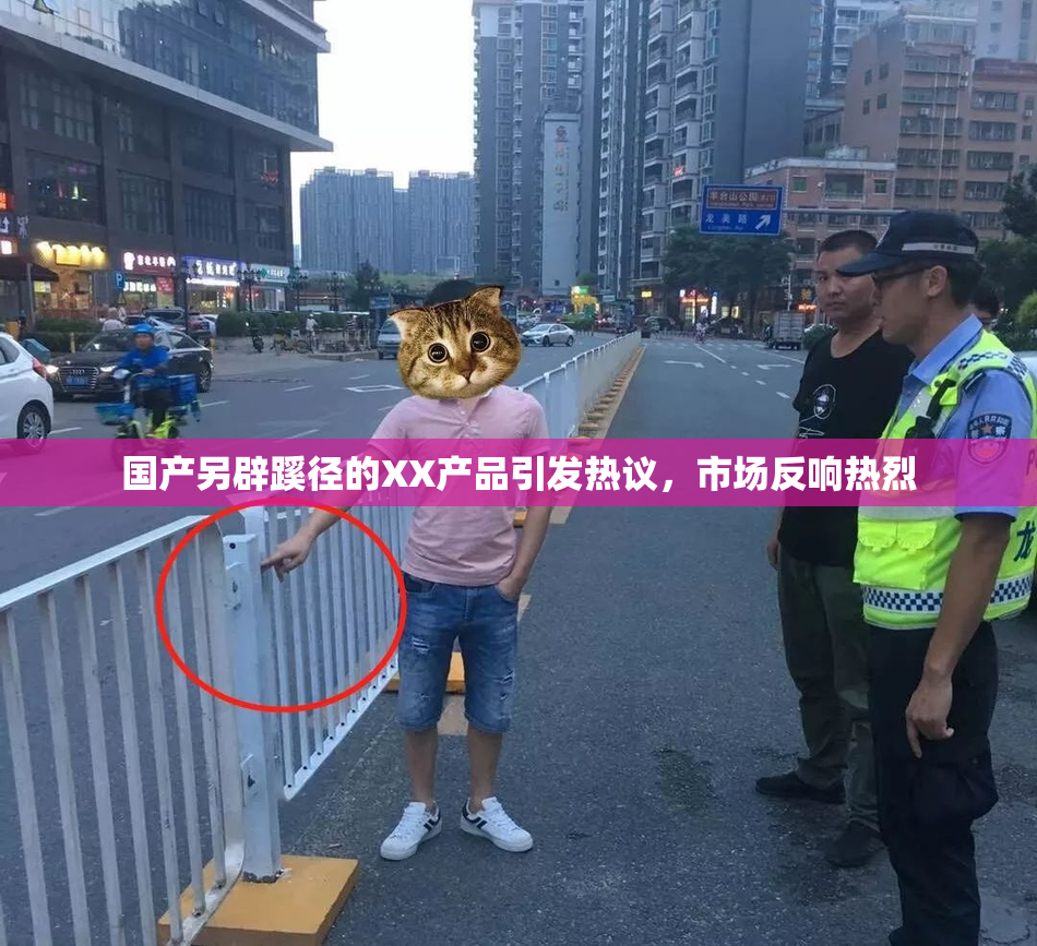 国产另辟蹊径的XX产品引发热议，市场反响热烈