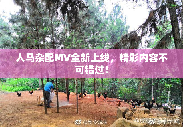 人马杂配MV全新上线，精彩内容不可错过！
