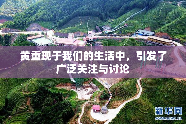 黄重现于我们的生活中，引发了广泛关注与讨论