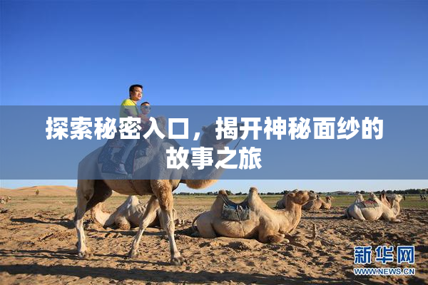 探索秘密入口，揭开神秘面纱的故事之旅