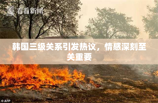 韩国三级关系引发热议，情感深刻至关重要