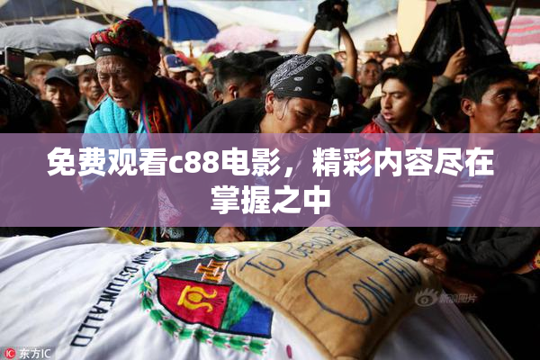 免费观看c88电影，精彩内容尽在掌握之中