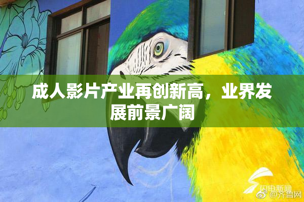 成人影片产业再创新高，业界发展前景广阔