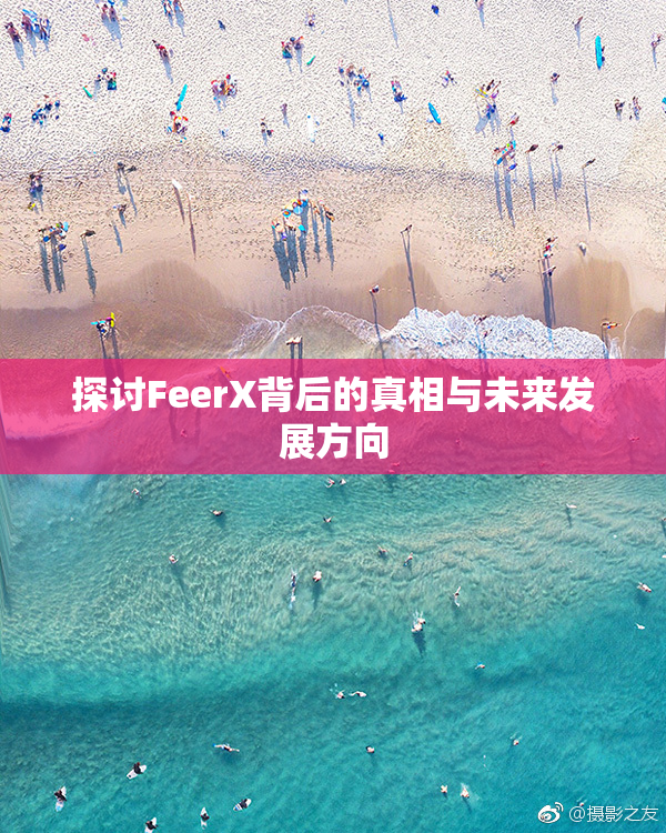 探讨FeerX背后的真相与未来发展方向