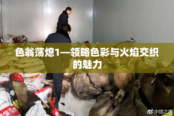 色翁荡熄1—领略色彩与火焰交织的魅力