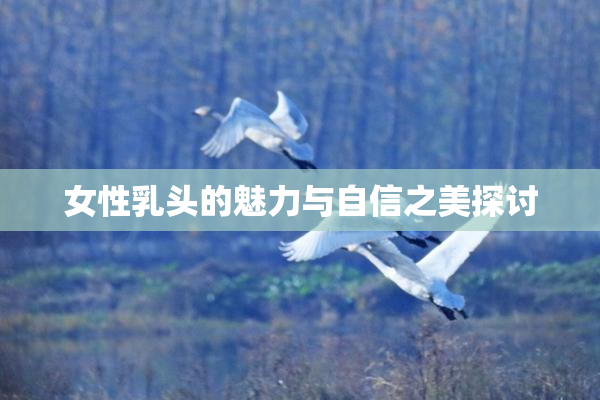 女性乳头的魅力与自信之美探讨