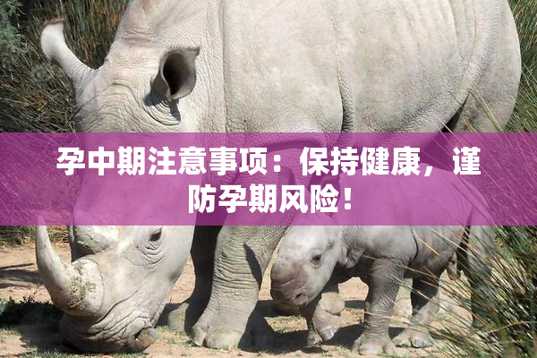 孕中期注意事项：保持健康，谨防孕期风险！