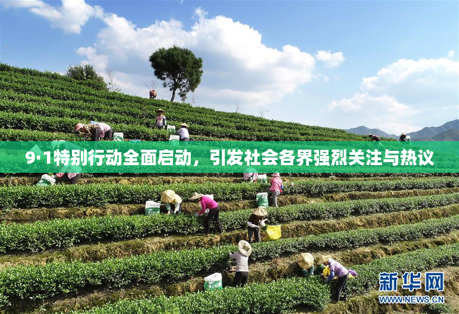 9·1特别行动全面启动，引发社会各界强烈关注与热议