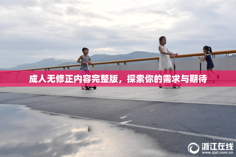成人无修正内容完整版，探索你的需求与期待