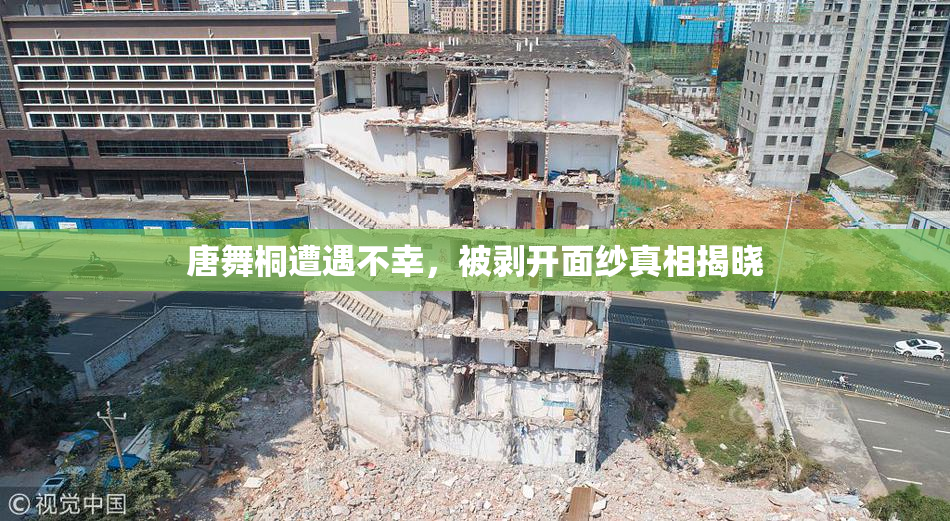 唐舞桐遭遇不幸，被剥开面纱真相揭晓