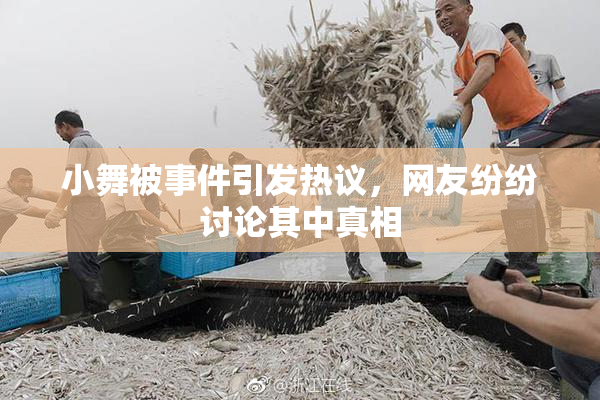 小舞被事件引发热议，网友纷纷讨论其中真相