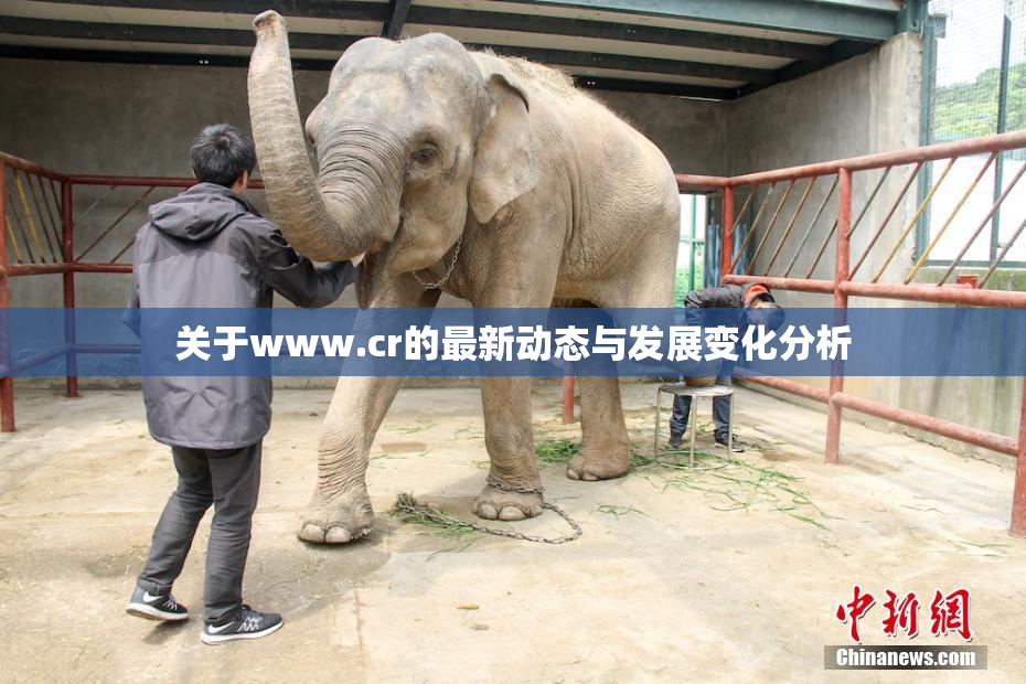 关于www.cr的最新动态与发展变化分析