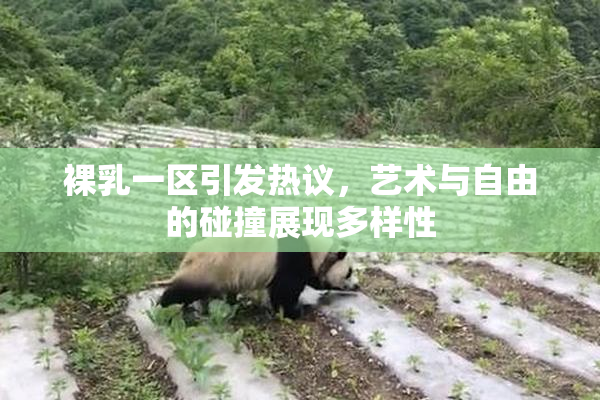 裸乳一区引发热议，艺术与自由的碰撞展现多样性