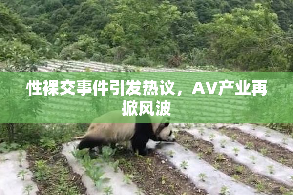 性裸交事件引发热议，AV产业再掀风波