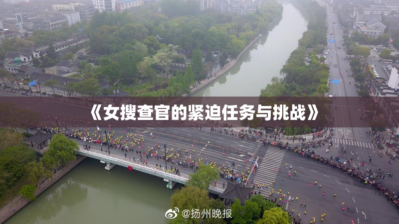 《女搜查官的紧迫任务与挑战》