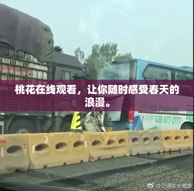 桃花在线观看，让你随时感受春天的浪漫。