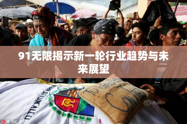 91无限揭示新一轮行业趋势与未来展望
