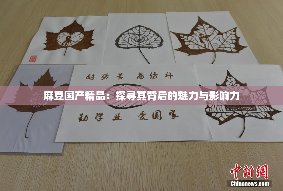 麻豆国产精品：探寻其背后的魅力与影响力