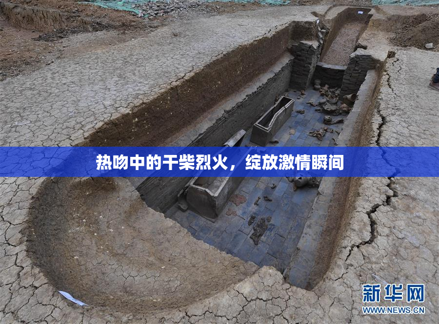 热吻中的干柴烈火，绽放激情瞬间