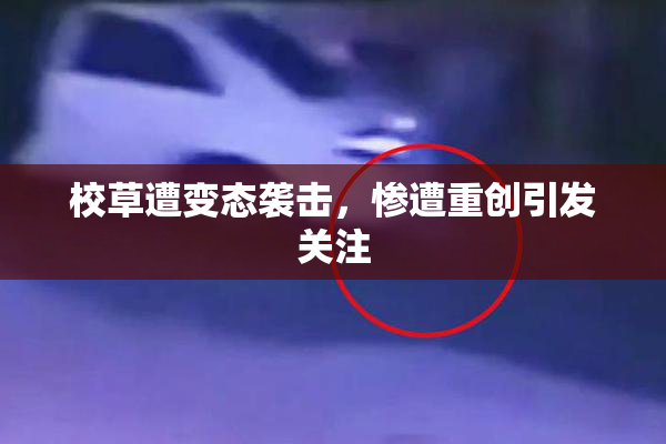 校草遭变态袭击，惨遭重创引发关注